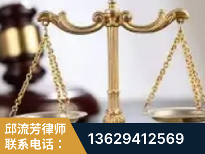 巩义-委托诉讼代理人出庭